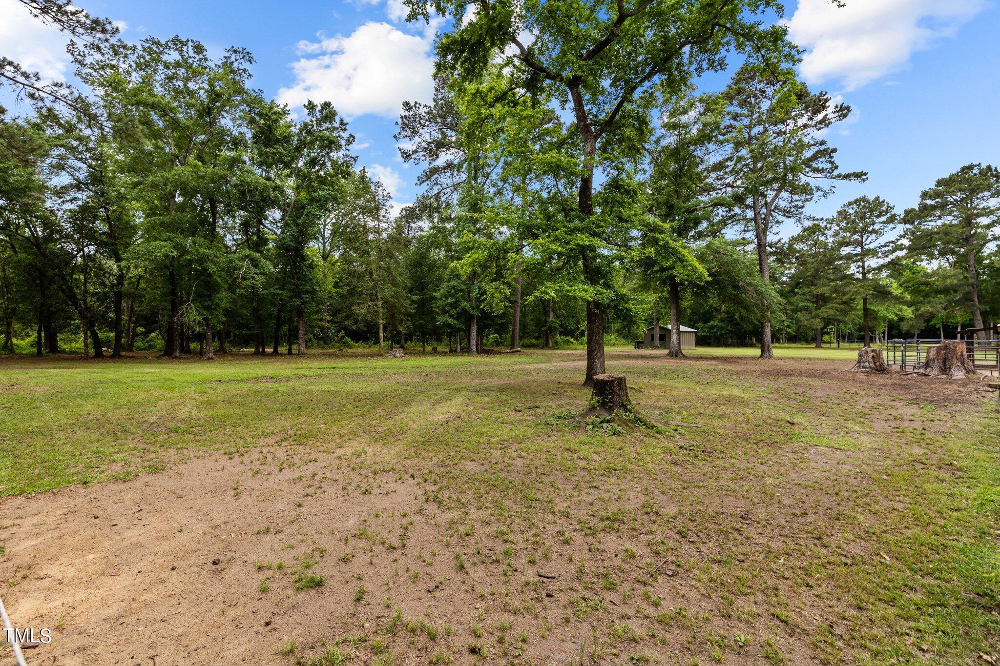 7690 Arabia Road Lumber Bridge, NC 28357 - Photo 36 of 45 27-web-or-mls-707A8614