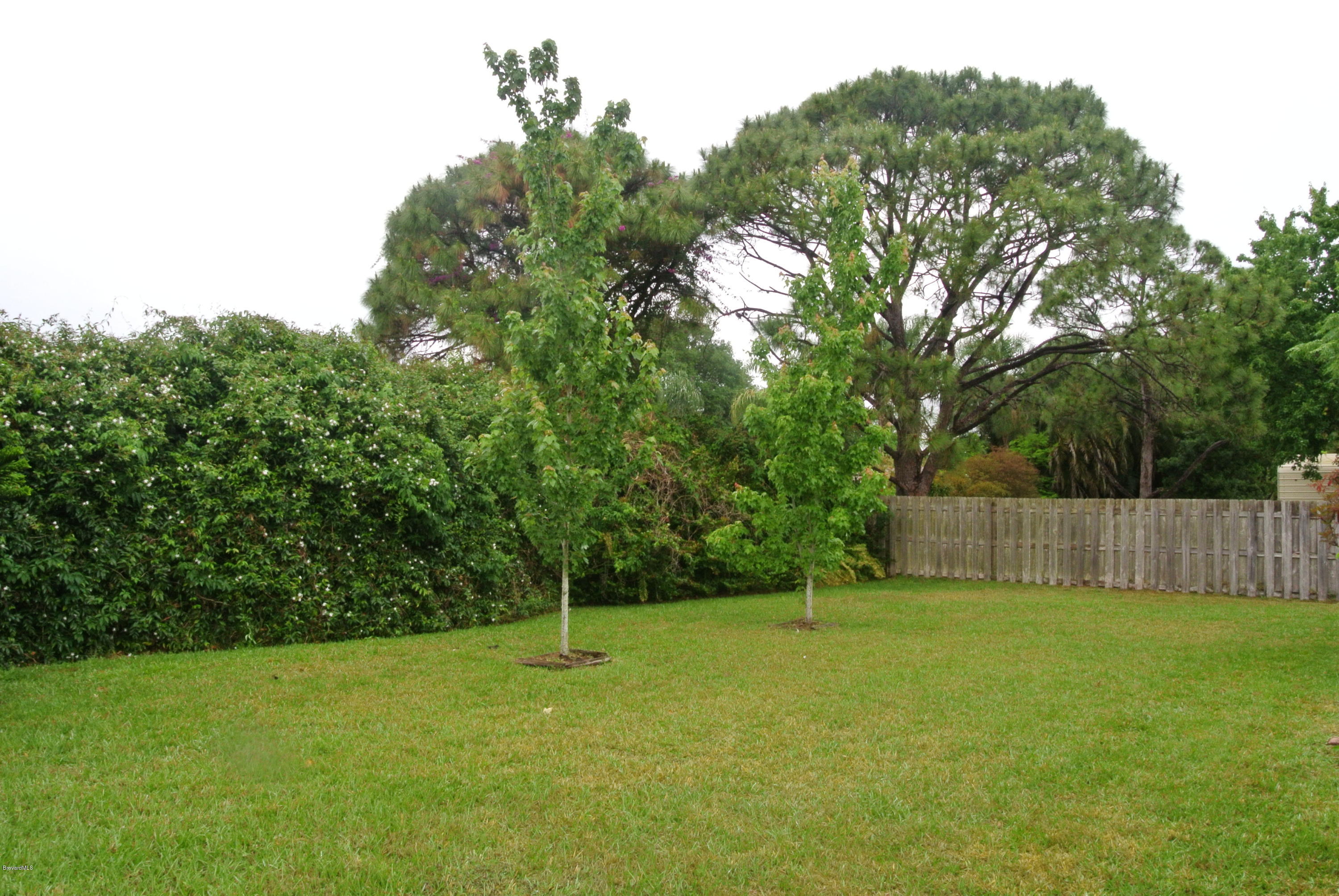 2704 Reed Avenue Melbourne, FL 32901 - Photo 13 of 13 BACKYARD