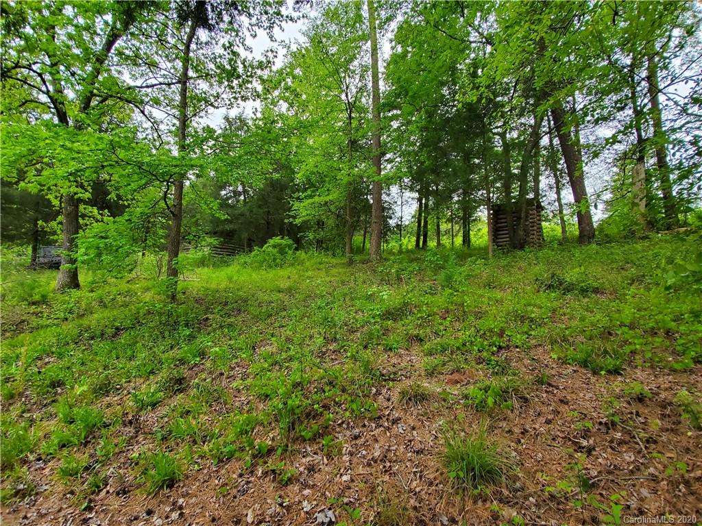 Vacant McLester Road Oakboro, NC 28129 - Photo 7 of 15