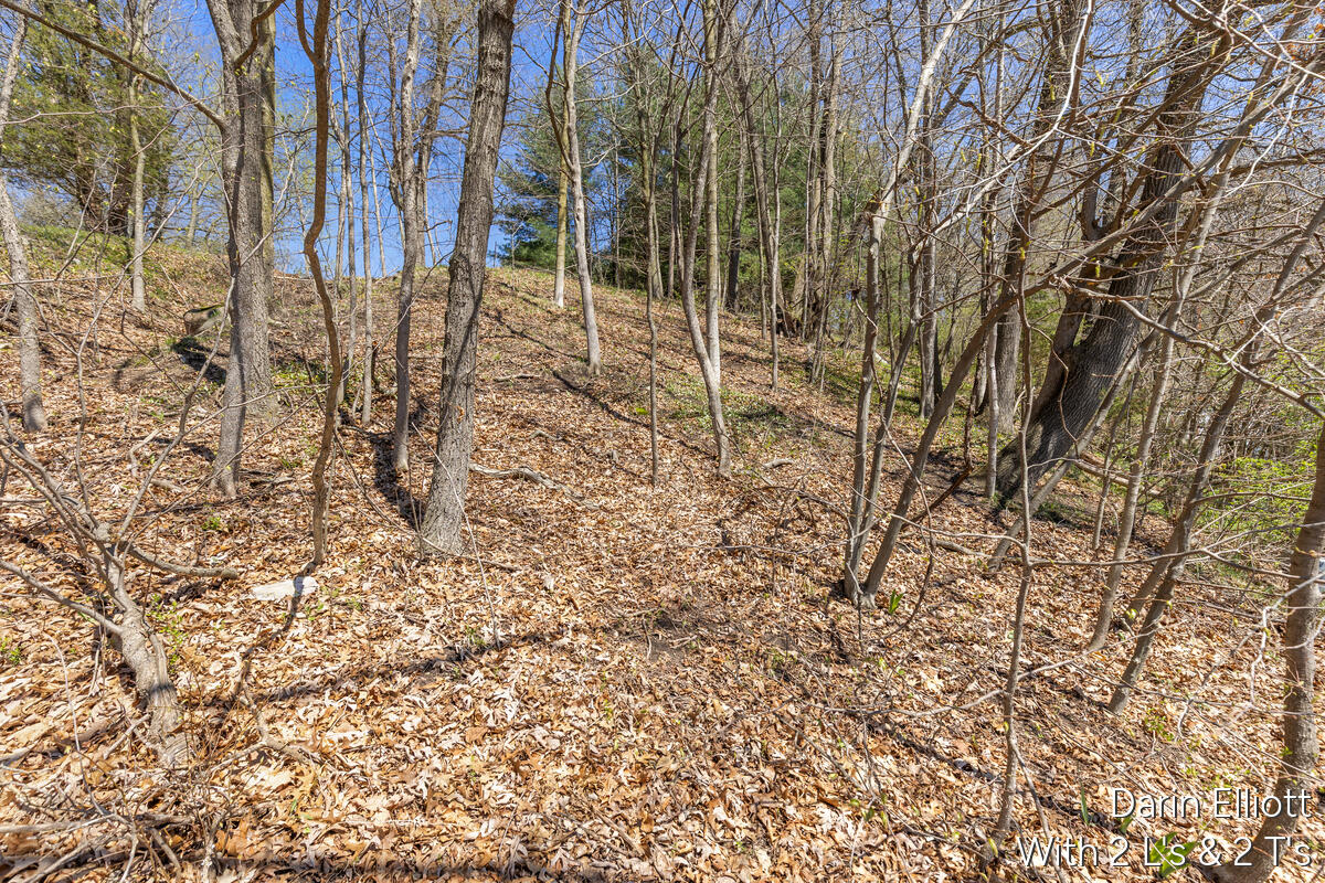 956 Prairie Creek Road Ionia, MI 48846 - Photo 61 of 68
