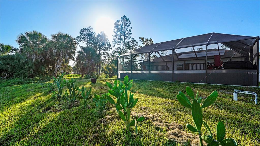 1477 Winthrop Street North Port, FL 34288 - Photo 53 of 100 a backyard of a house with lots of green space and garden