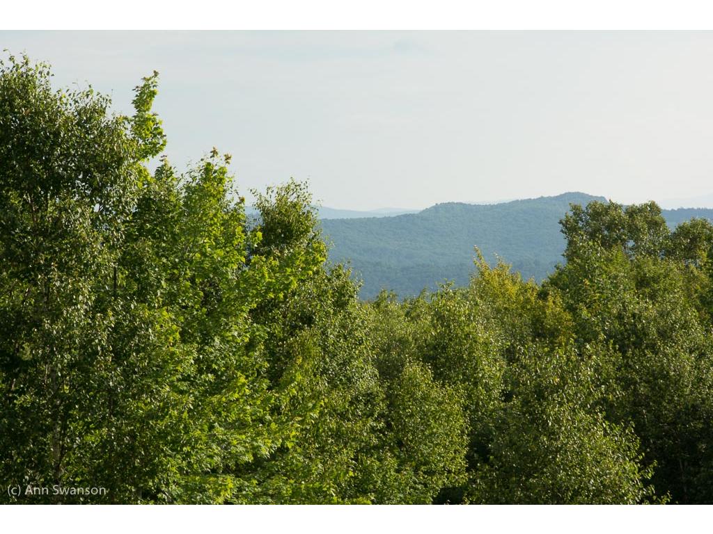 21 Rogers Road Strafford, VT 05072 - Photo 2 of 8