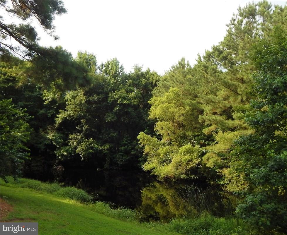 1733 Cedar Hall Road Pocomoke City, MD 21851 - Photo 40 of 45 Gallery Image 40