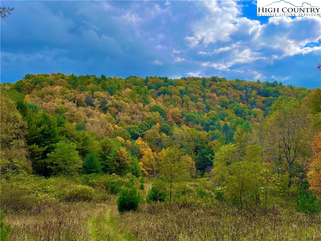 0 Castle Ford Road Boone, NC 28607 - Photo 1 of 29 Gallery Image 1