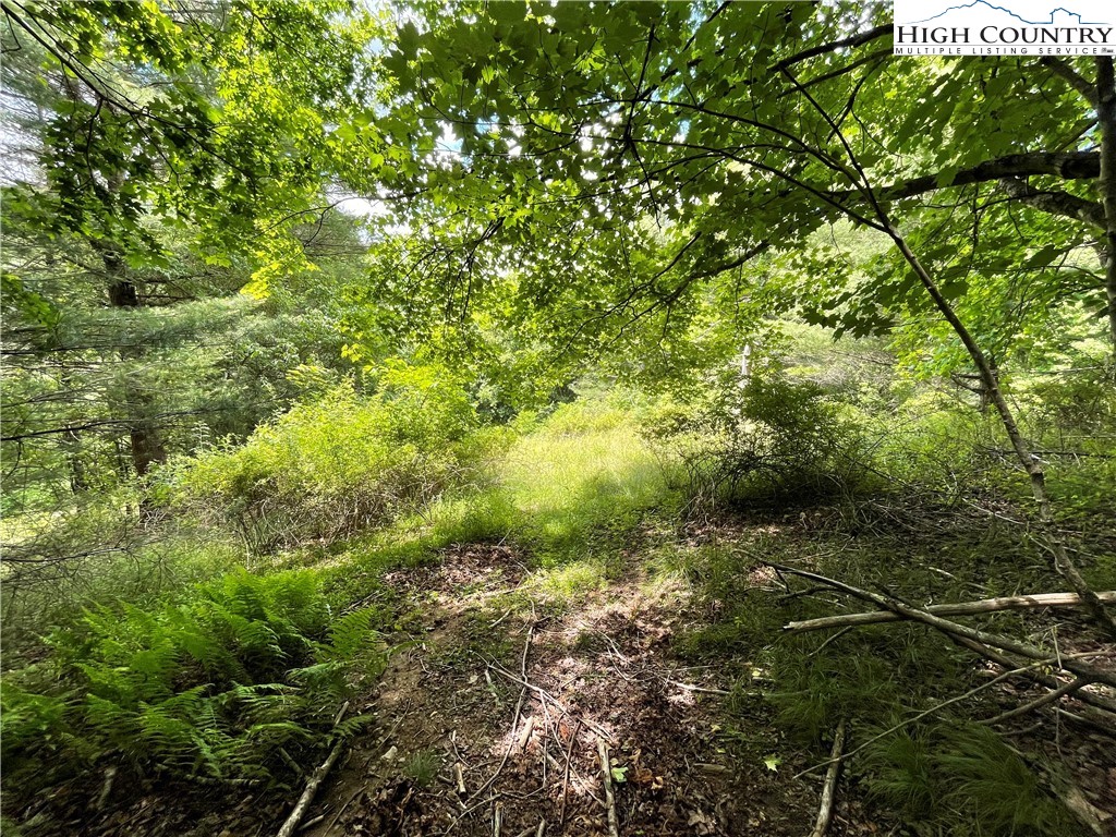 0 Castle Ford Road Boone, NC 28607 - Photo 11 of 29 Gallery Image 11