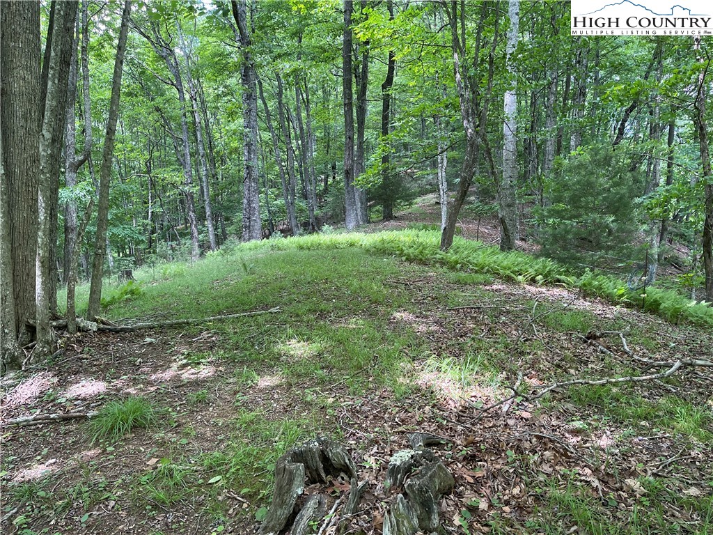 0 Castle Ford Road Boone, NC 28607 - Photo 13 of 29 Gallery Image 13