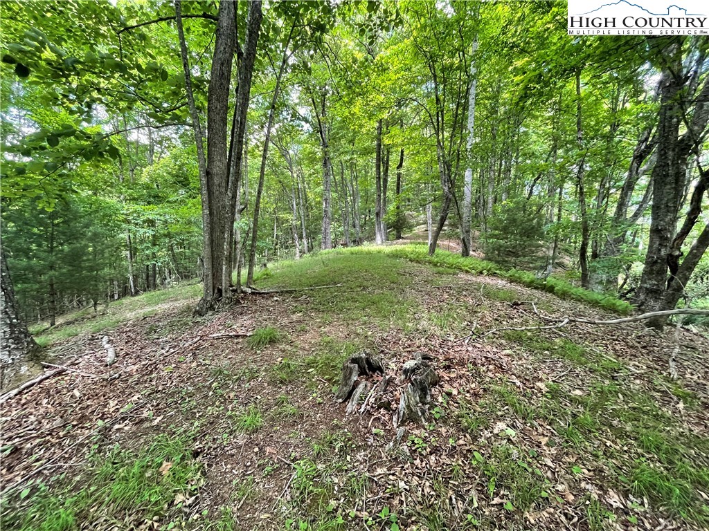 0 Castle Ford Road Boone, NC 28607 - Photo 14 of 29 Gallery Image 14