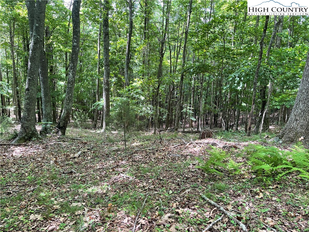 0 Castle Ford Road Boone, NC 28607 - Photo 15 of 29 Gallery Image 15