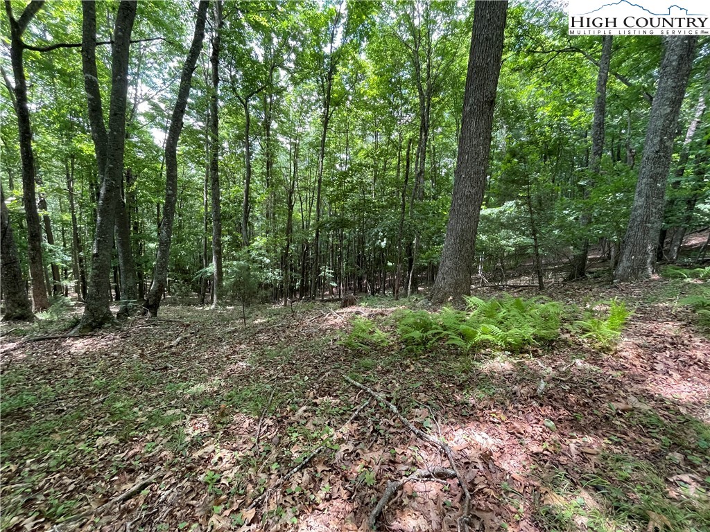 0 Castle Ford Road Boone, NC 28607 - Photo 16 of 29 Gallery Image 16