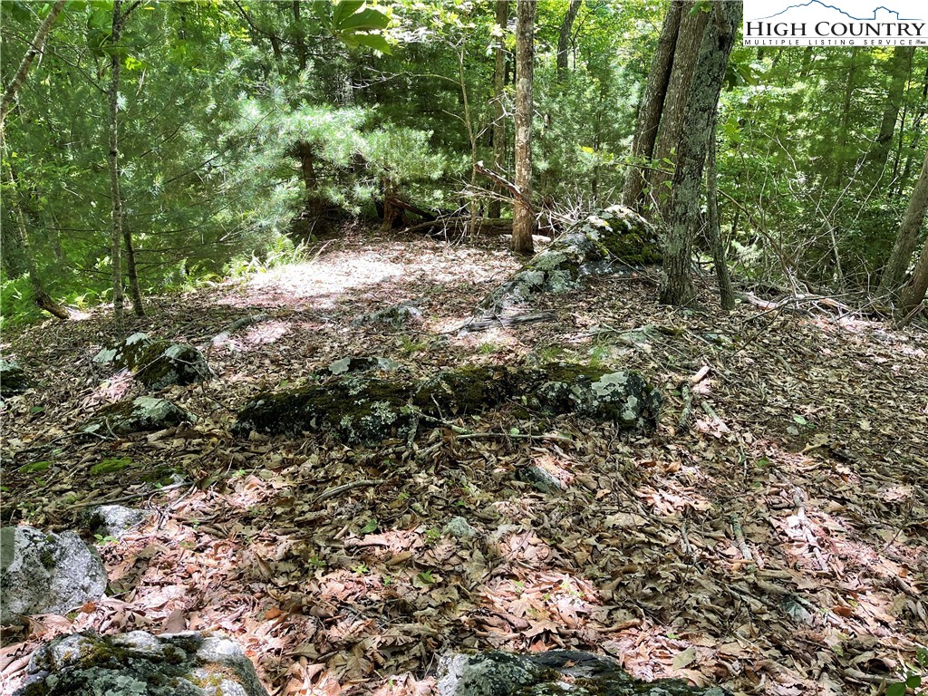 0 Castle Ford Road Boone, NC 28607 - Photo 17 of 29 Gallery Image 17