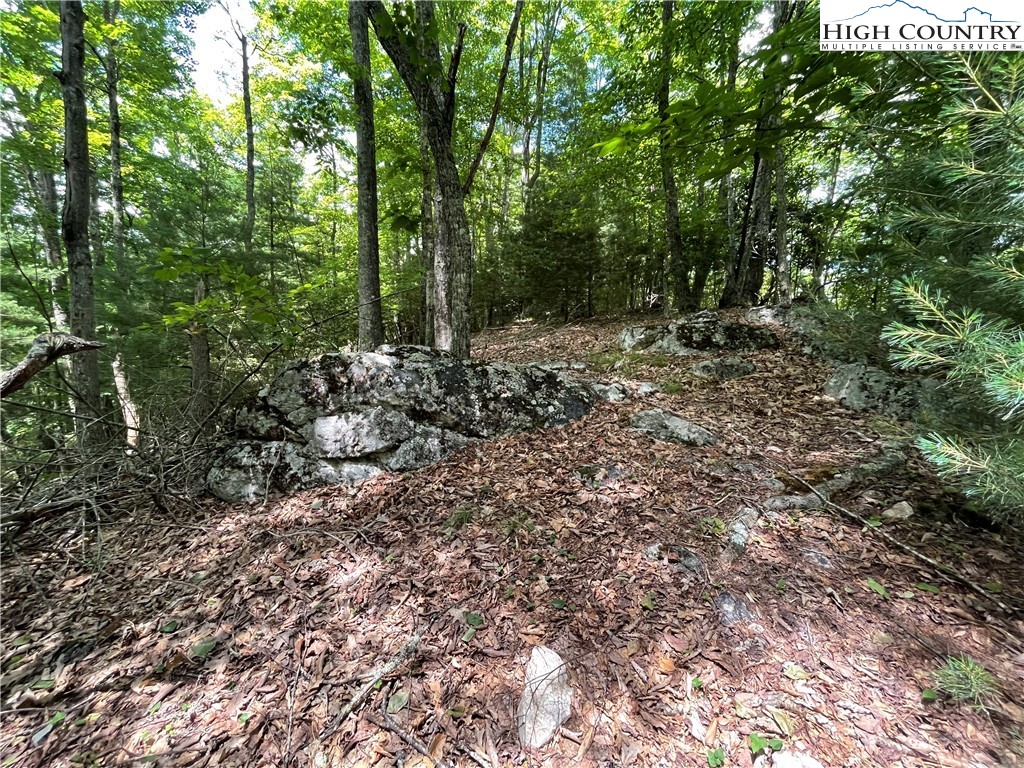 0 Castle Ford Road Boone, NC 28607 - Photo 18 of 29 Gallery Image 18