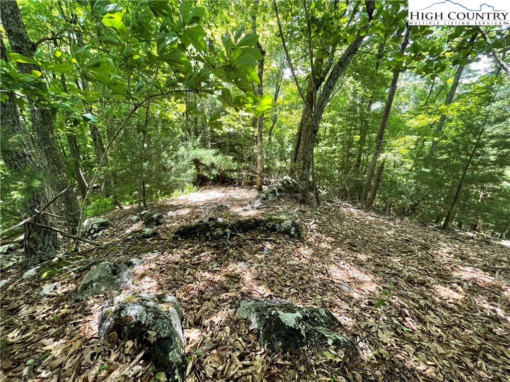 0 Castle Ford Road Boone, NC 28607 - Photo 19 of 29 Gallery Image 19