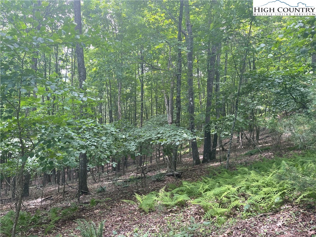 0 Castle Ford Road Boone, NC 28607 - Photo 20 of 29 Gallery Image 20