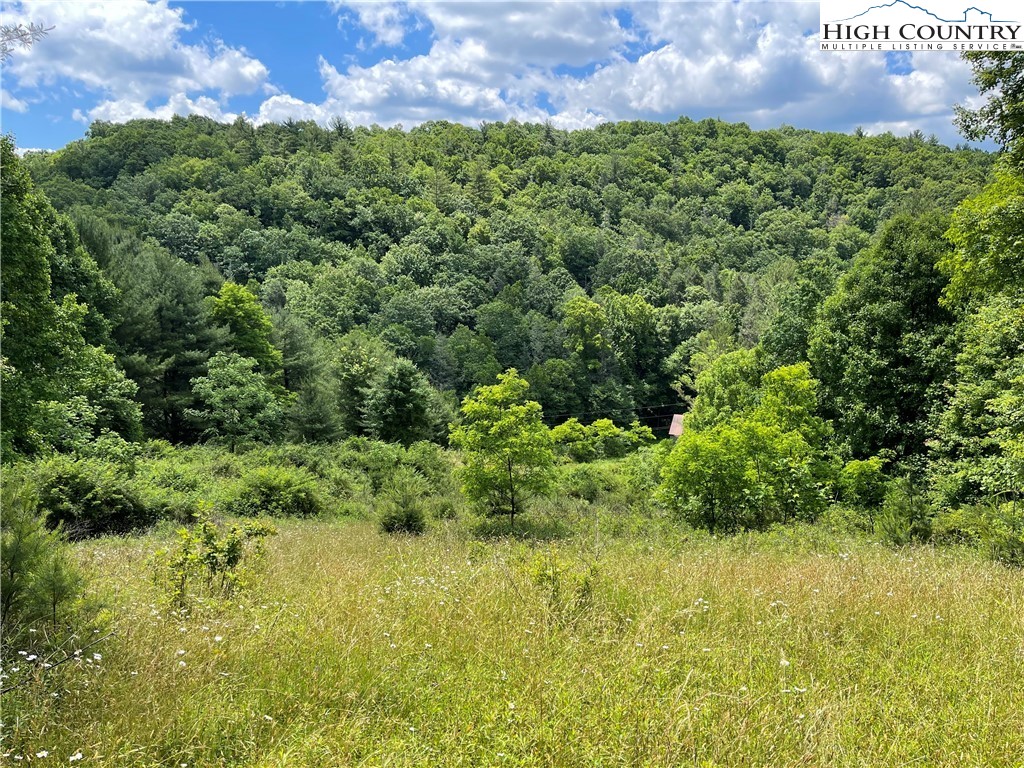 0 Castle Ford Road Boone, NC 28607 - Photo 2 of 29 Gallery Image 2