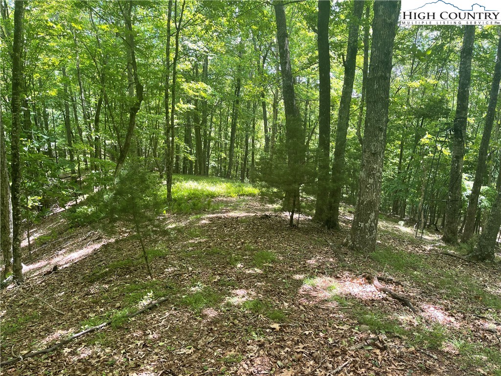 0 Castle Ford Road Boone, NC 28607 - Photo 21 of 29 Gallery Image 21