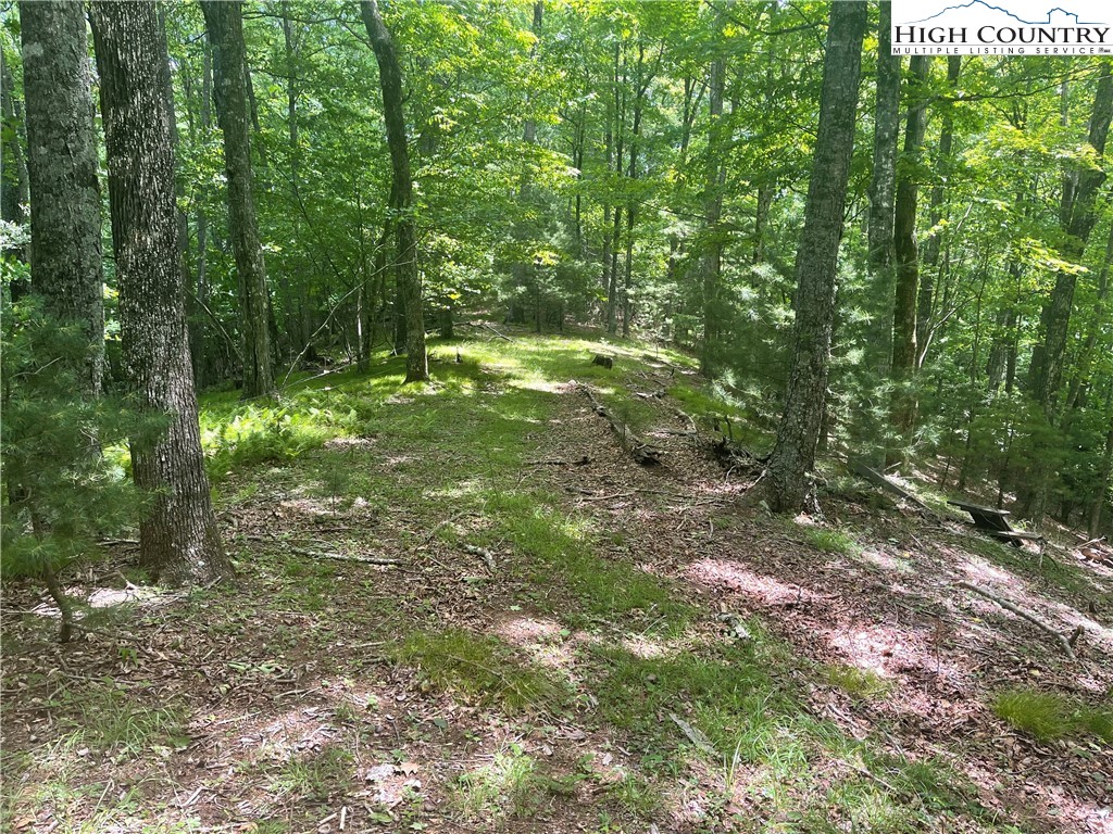 0 Castle Ford Road Boone, NC 28607 - Photo 22 of 29 Gallery Image 22