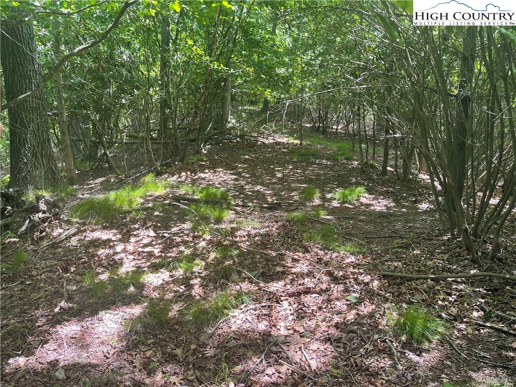 0 Castle Ford Road Boone, NC 28607 - Photo 23 of 29 Gallery Image 23