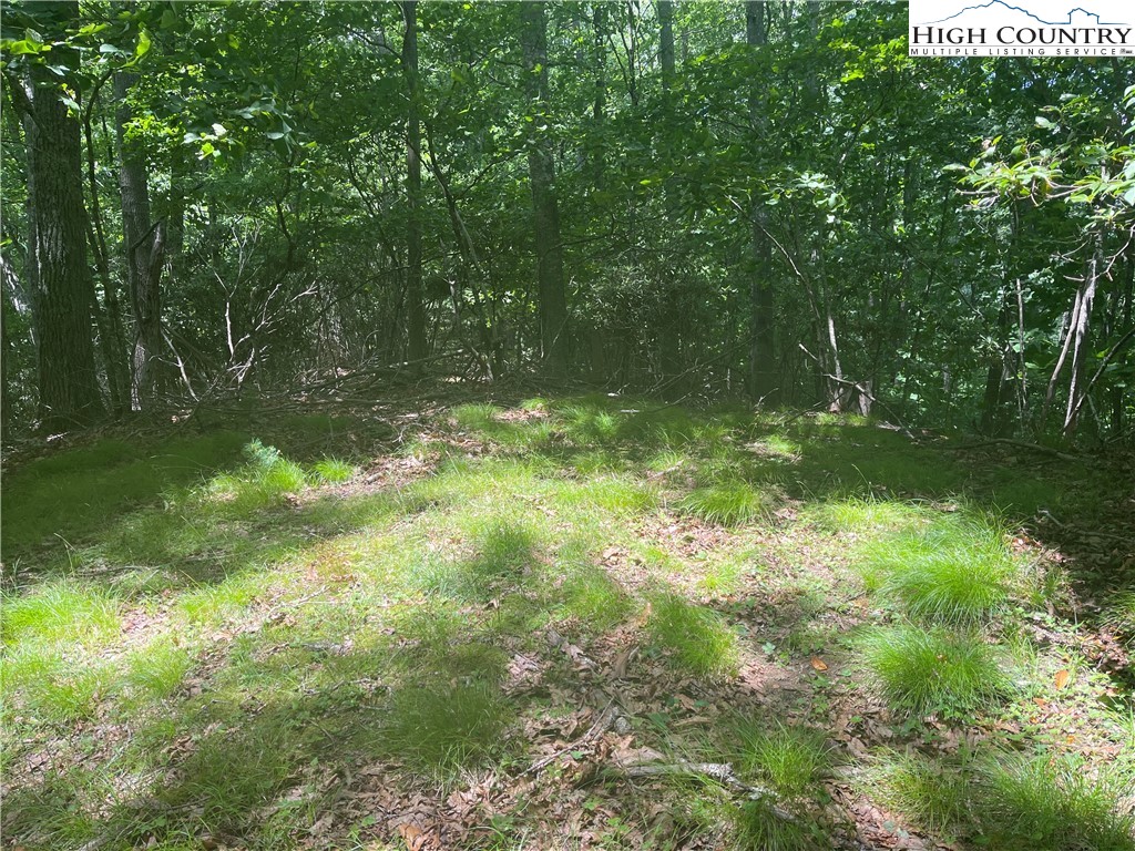 0 Castle Ford Road Boone, NC 28607 - Photo 25 of 29 Gallery Image 25