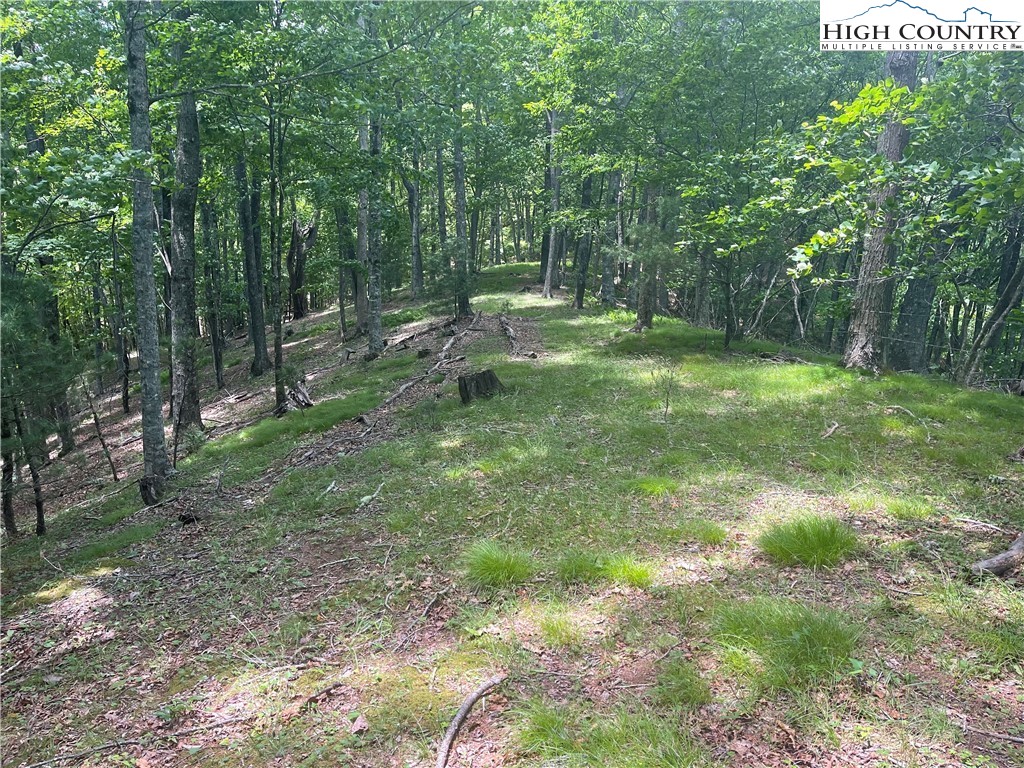 0 Castle Ford Road Boone, NC 28607 - Photo 26 of 29 Gallery Image 26