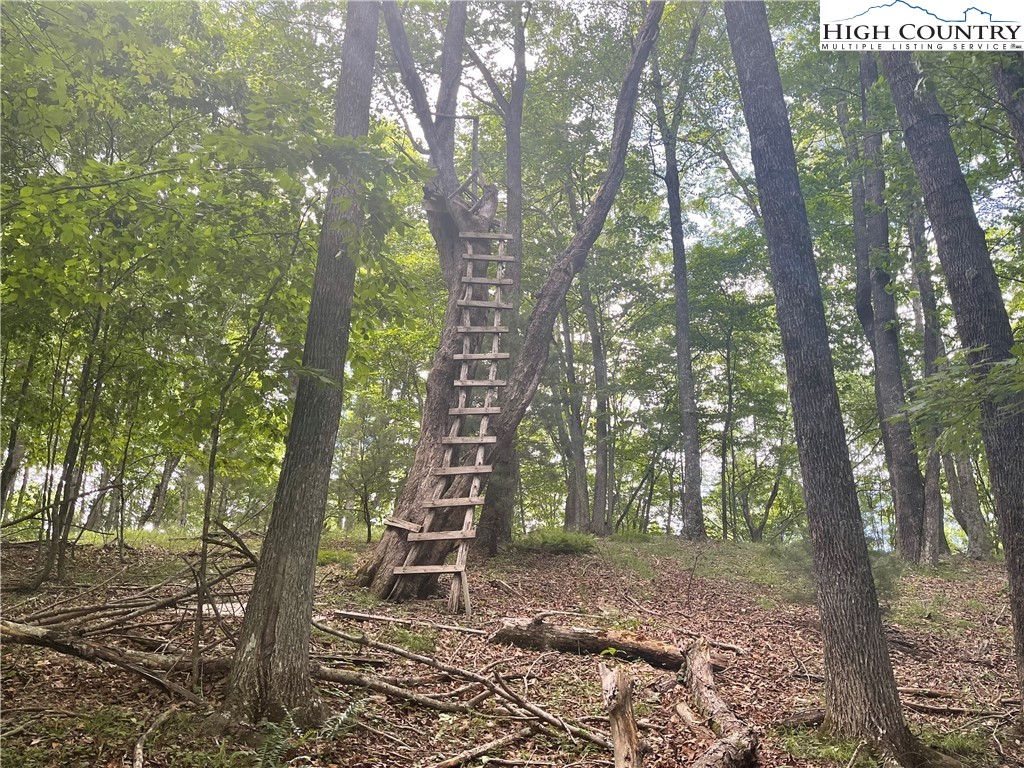 0 Castle Ford Road Boone, NC 28607 - Photo 27 of 29 Gallery Image 27