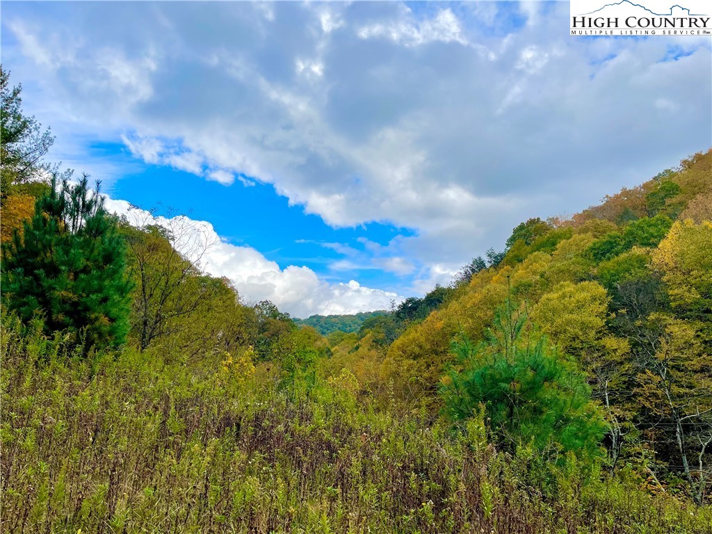 0 Castle Ford Road Boone, NC 28607 - Photo 3 of 29 Gallery Image 3