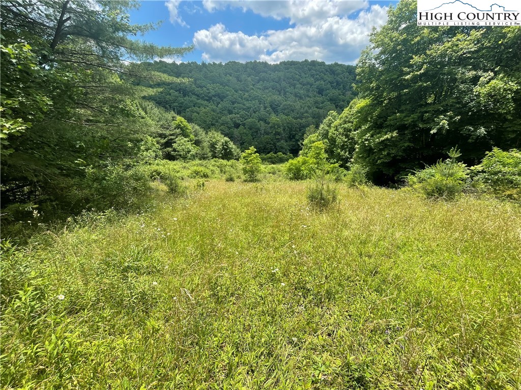 0 Castle Ford Road Boone, NC 28607 - Photo 6 of 29 Gallery Image 6