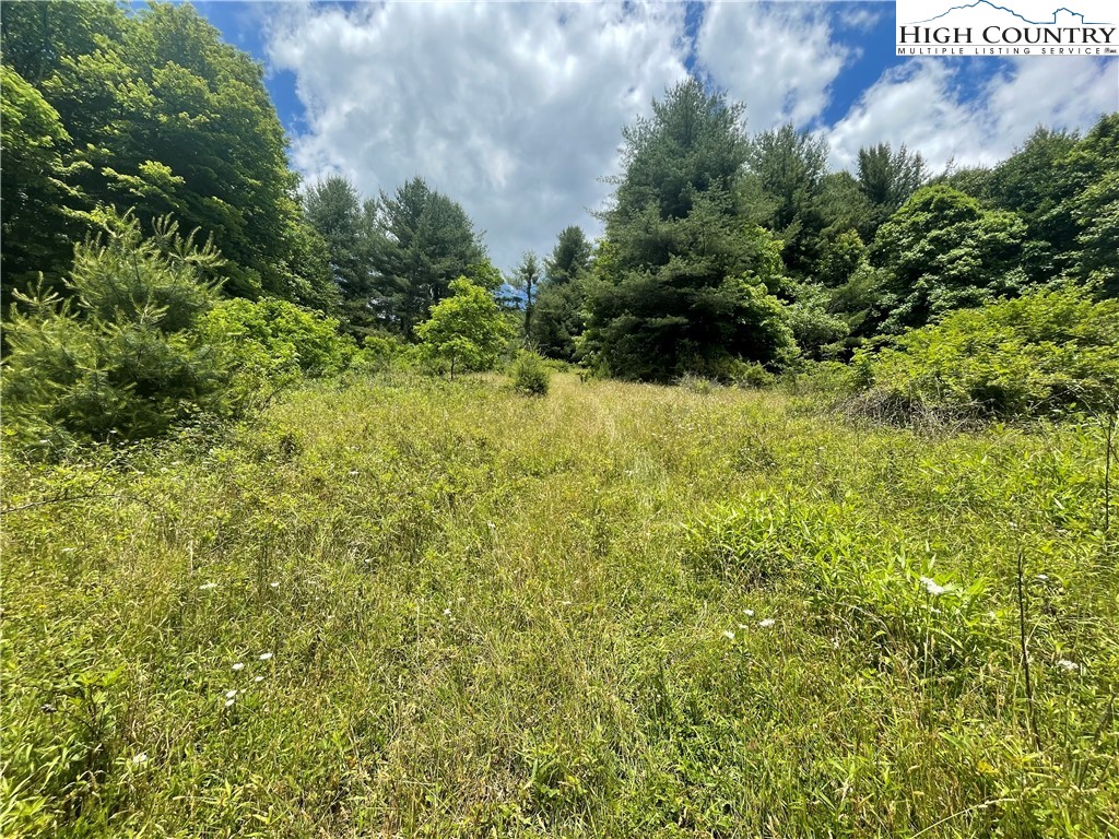 0 Castle Ford Road Boone, NC 28607 - Photo 7 of 29 Gallery Image 7
