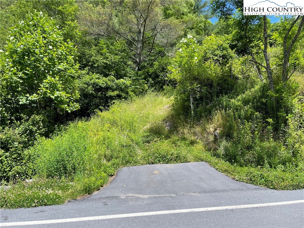 0 Castle Ford Road Boone, NC 28607 - Photo 8 of 29 Gallery Image 8