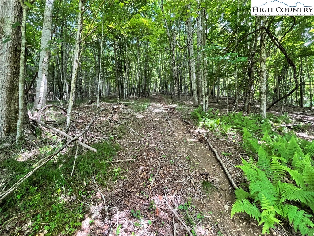 0 Castle Ford Road Boone, NC 28607 - Photo 10 of 29 Gallery Image 10