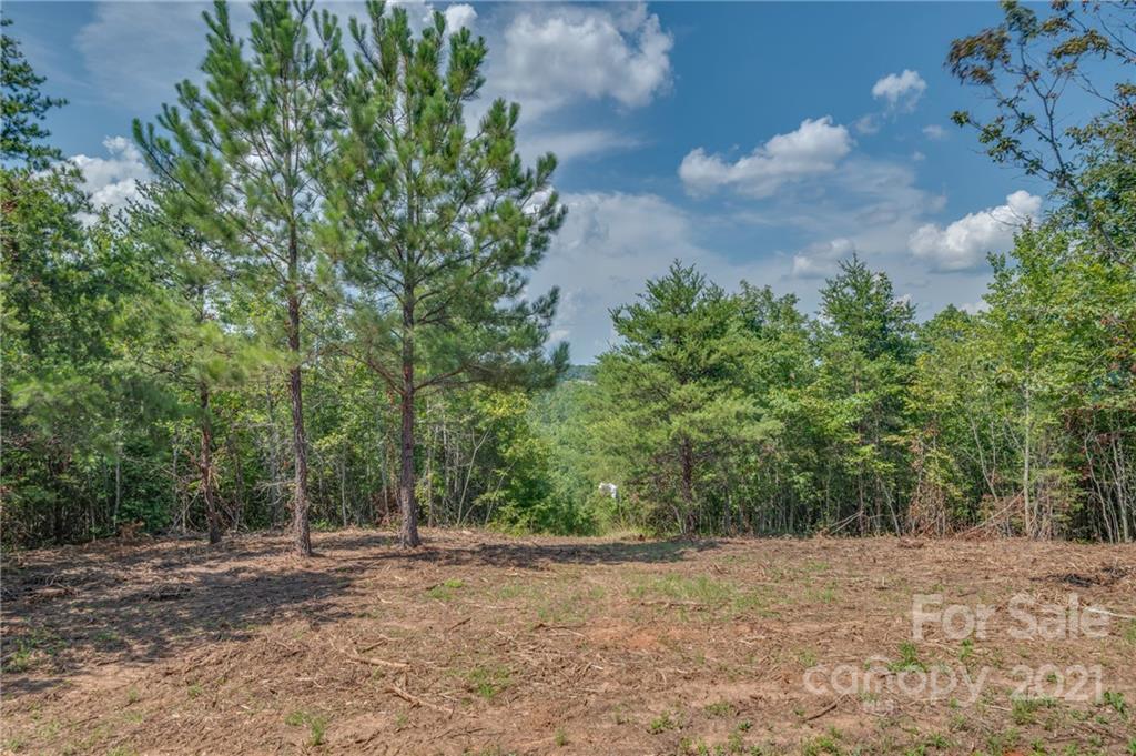 0 Wells Mill Road Bostic, NC 28018 - Photo 1 of 30 Gallery Image 1