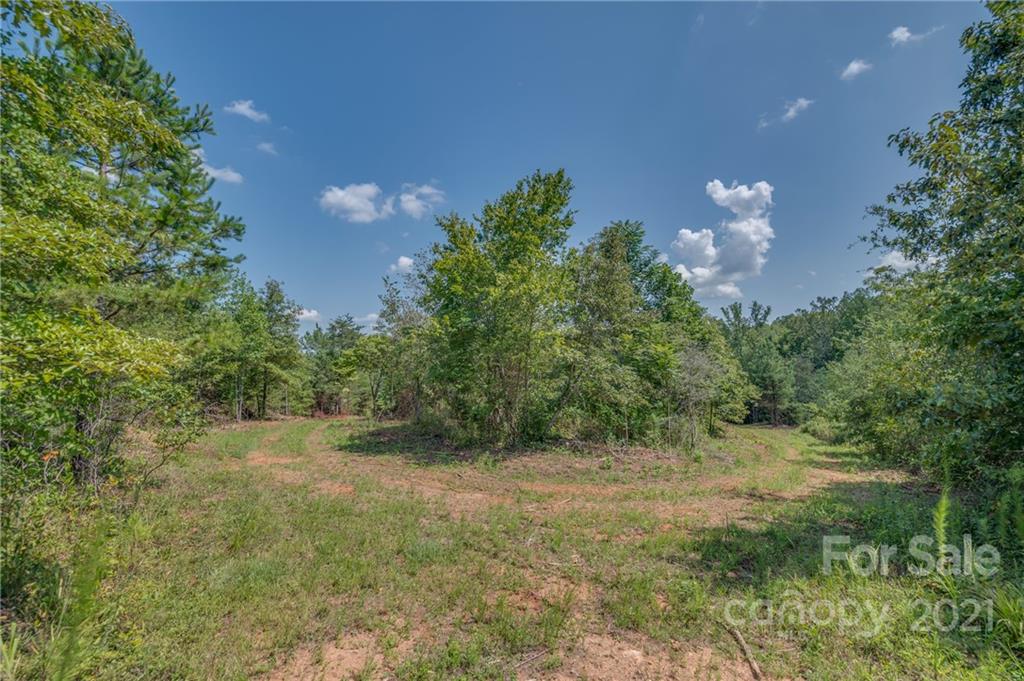 0 Wells Mill Road Bostic, NC 28018 - Photo 11 of 30 Gallery Image 11