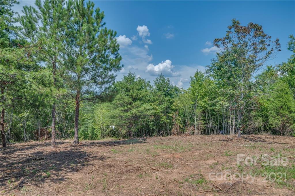 0 Wells Mill Road Bostic, NC 28018 - Photo 12 of 30 Gallery Image 12