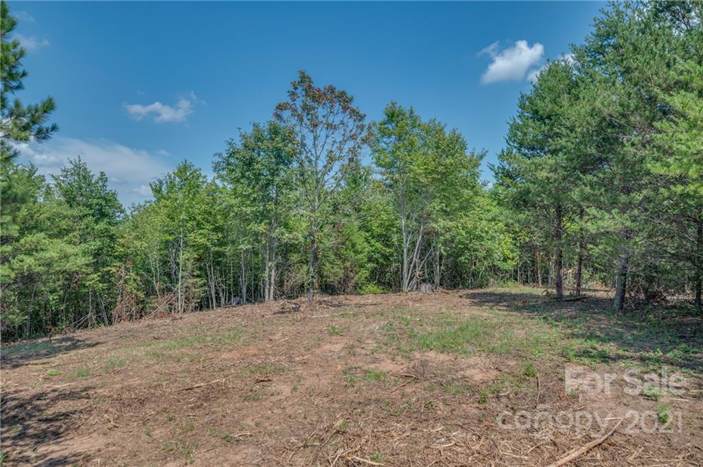 0 Wells Mill Road Bostic, NC 28018 - Photo 13 of 30 Gallery Image 13