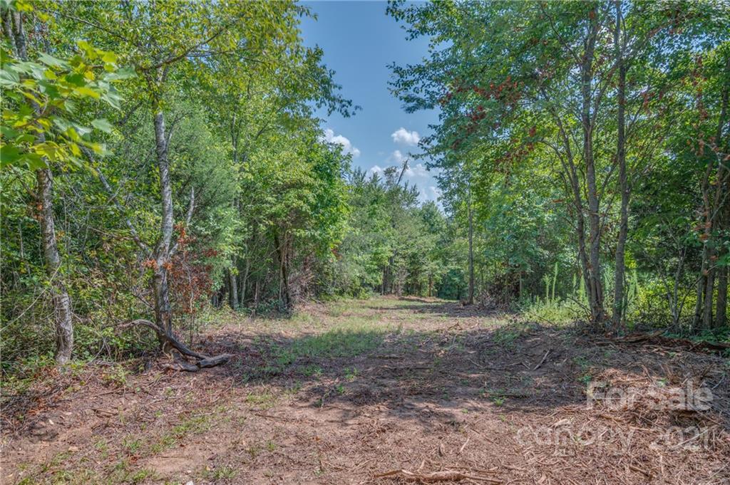 0 Wells Mill Road Bostic, NC 28018 - Photo 14 of 30 Gallery Image 14