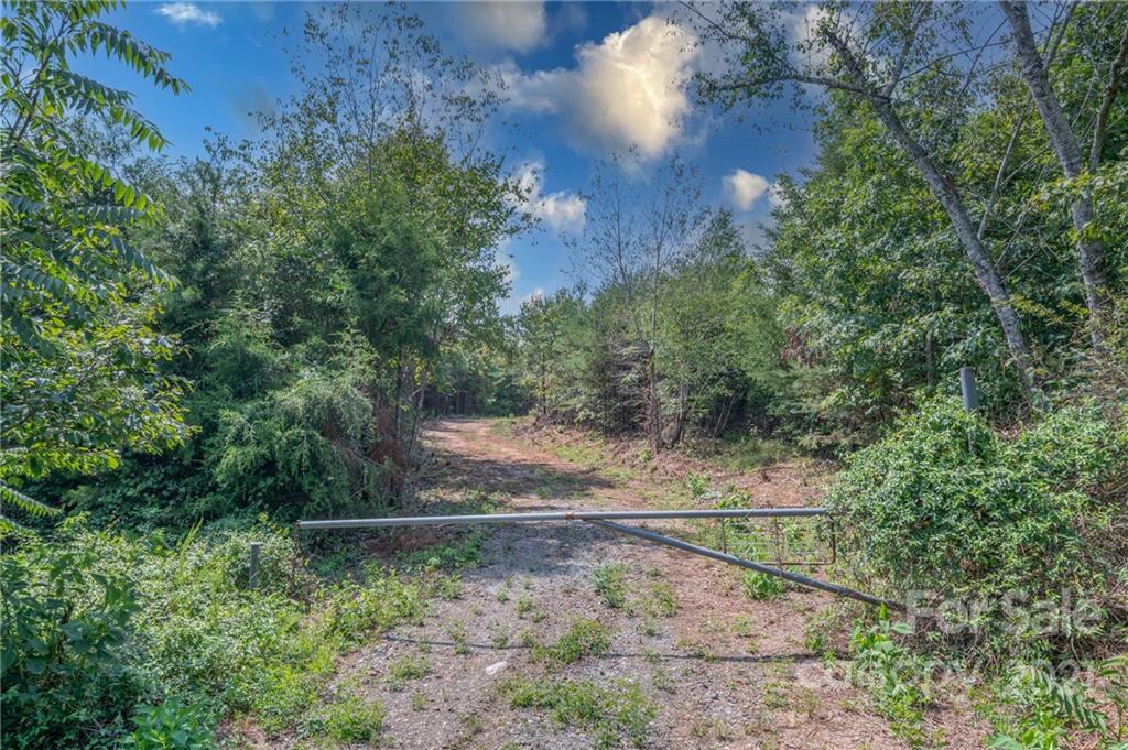 0 Wells Mill Road Bostic, NC 28018 - Photo 15 of 30 Gallery Image 15