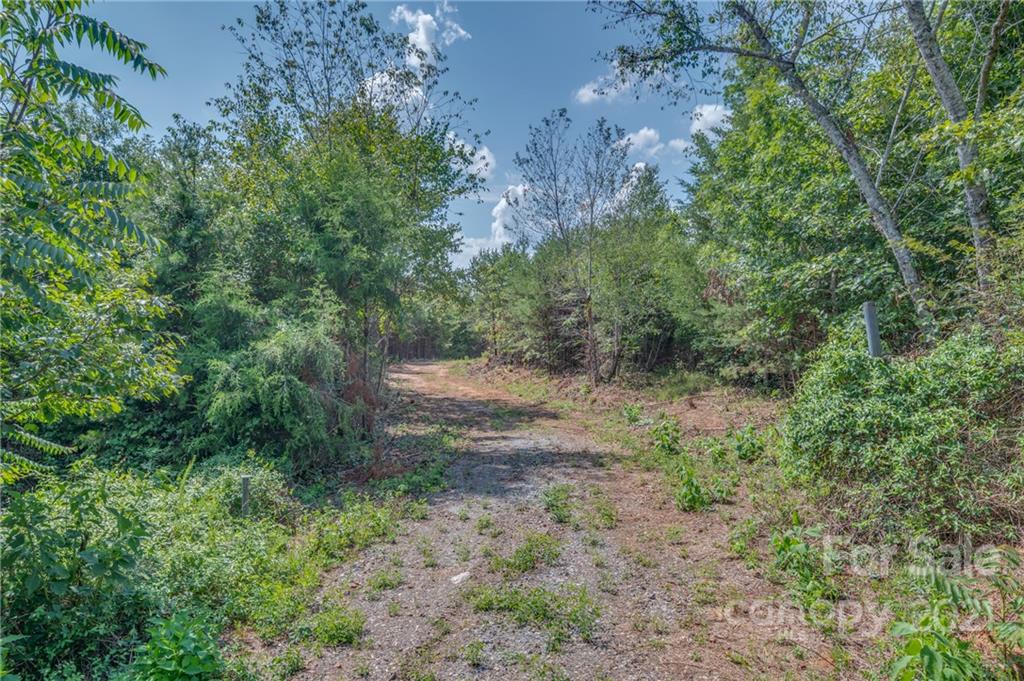 0 Wells Mill Road Bostic, NC 28018 - Photo 16 of 30 Gallery Image 16