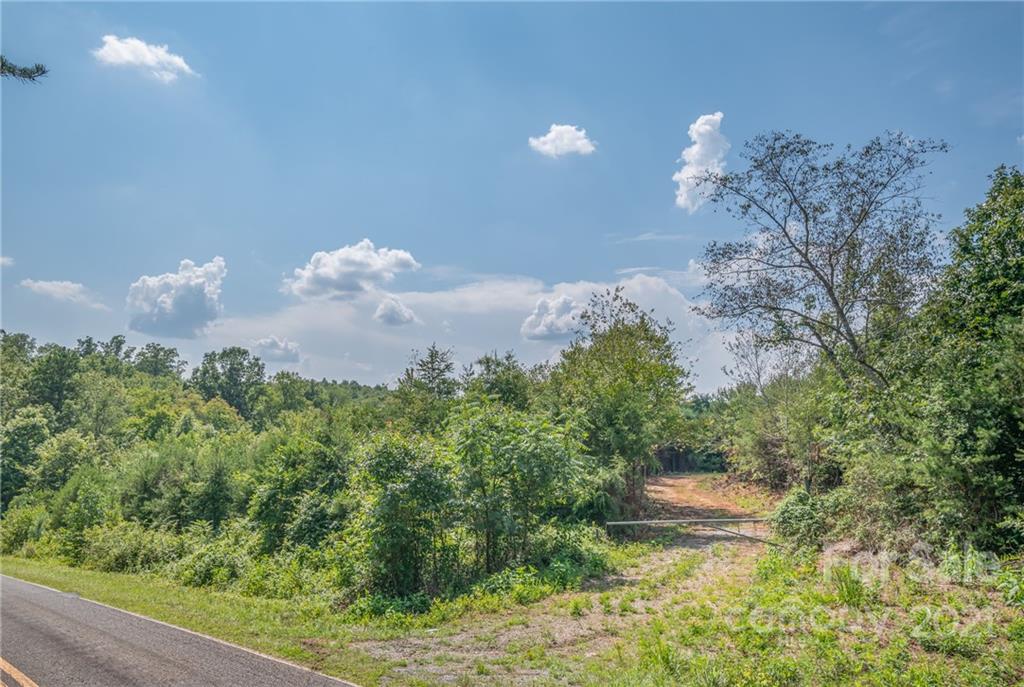 0 Wells Mill Road Bostic, NC 28018 - Photo 17 of 30 Gallery Image 17