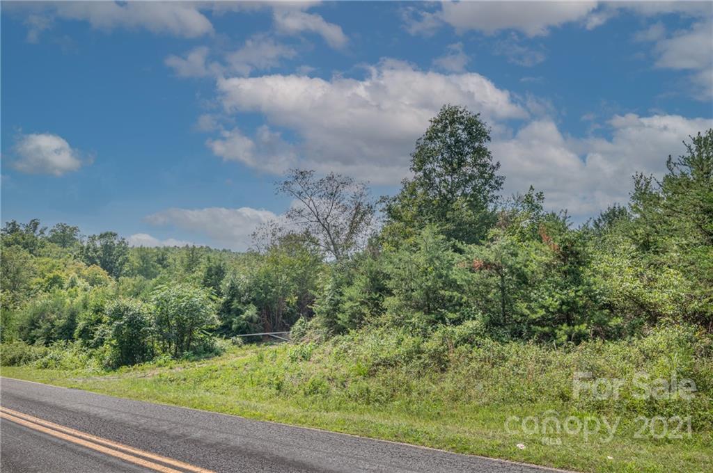 0 Wells Mill Road Bostic, NC 28018 - Photo 18 of 30 Gallery Image 18