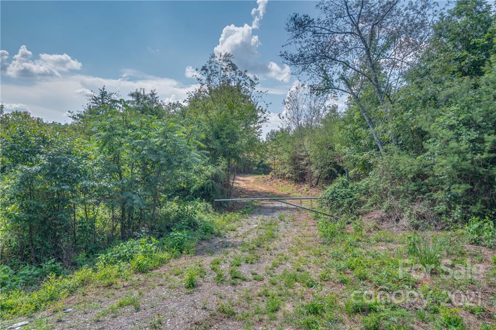 0 Wells Mill Road Bostic, NC 28018 - Photo 20 of 30 Gallery Image 20