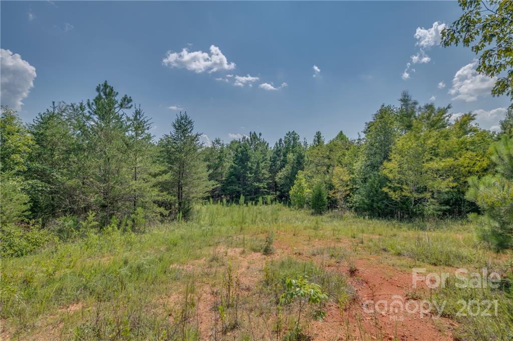 0 Wells Mill Road Bostic, NC 28018 - Photo 2 of 30 Gallery Image 2