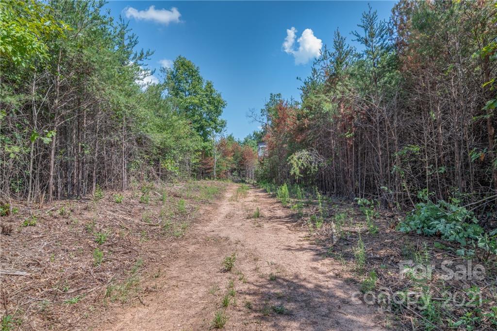 0 Wells Mill Road Bostic, NC 28018 - Photo 21 of 30 Gallery Image 21