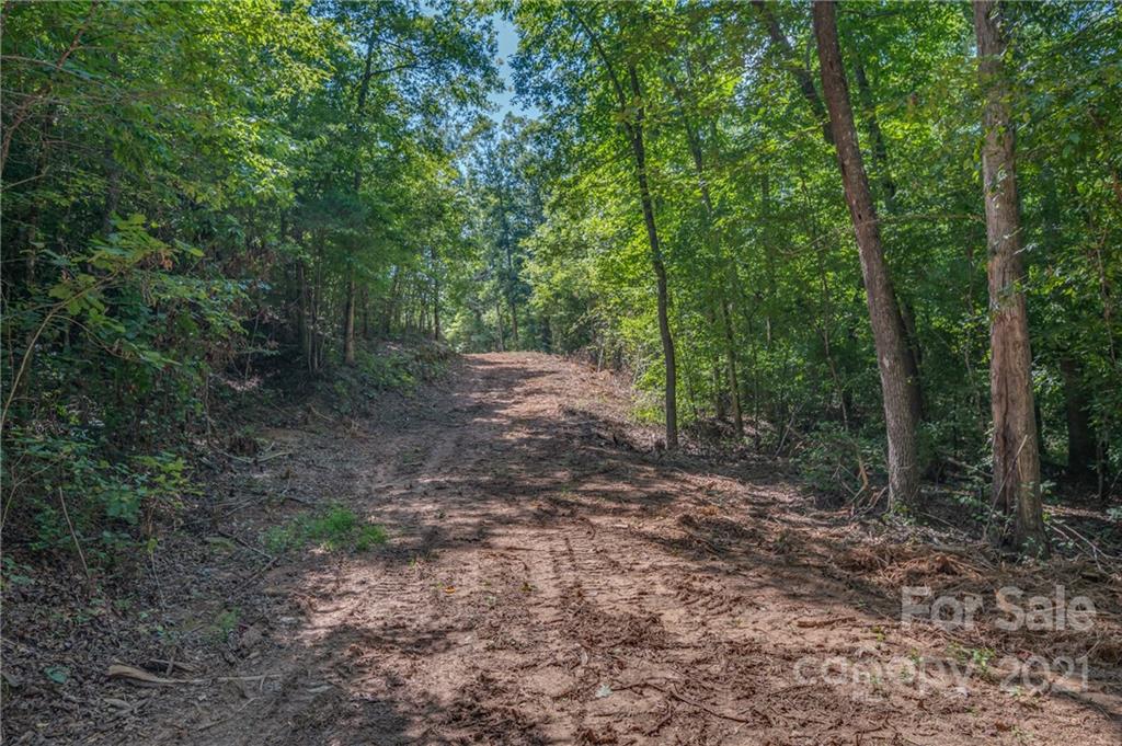 0 Wells Mill Road Bostic, NC 28018 - Photo 22 of 30 Gallery Image 22