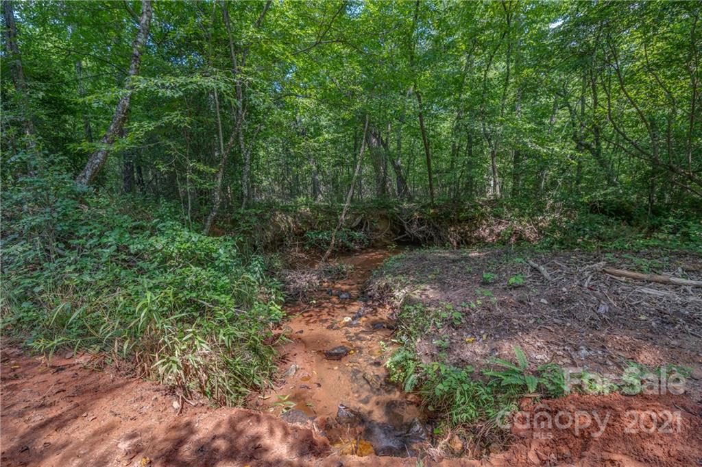 0 Wells Mill Road Bostic, NC 28018 - Photo 23 of 30 Gallery Image 23