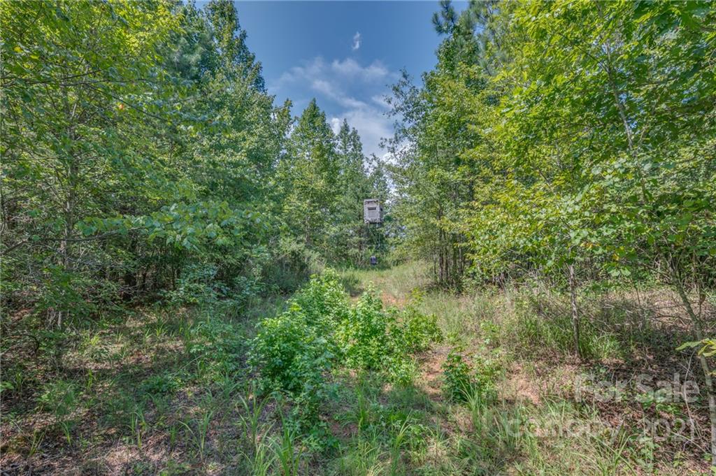 0 Wells Mill Road Bostic, NC 28018 - Photo 24 of 30 Gallery Image 24
