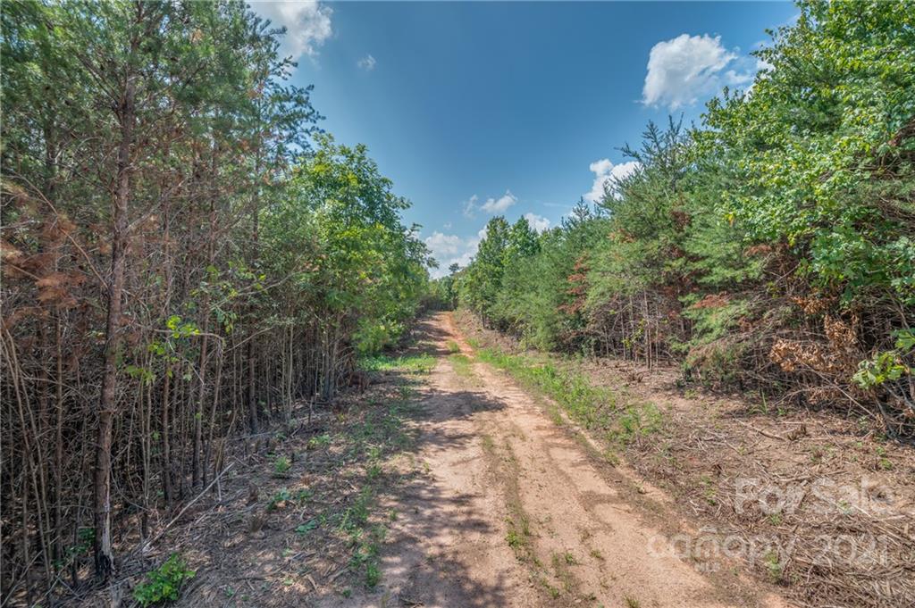 0 Wells Mill Road Bostic, NC 28018 - Photo 25 of 30 Gallery Image 25