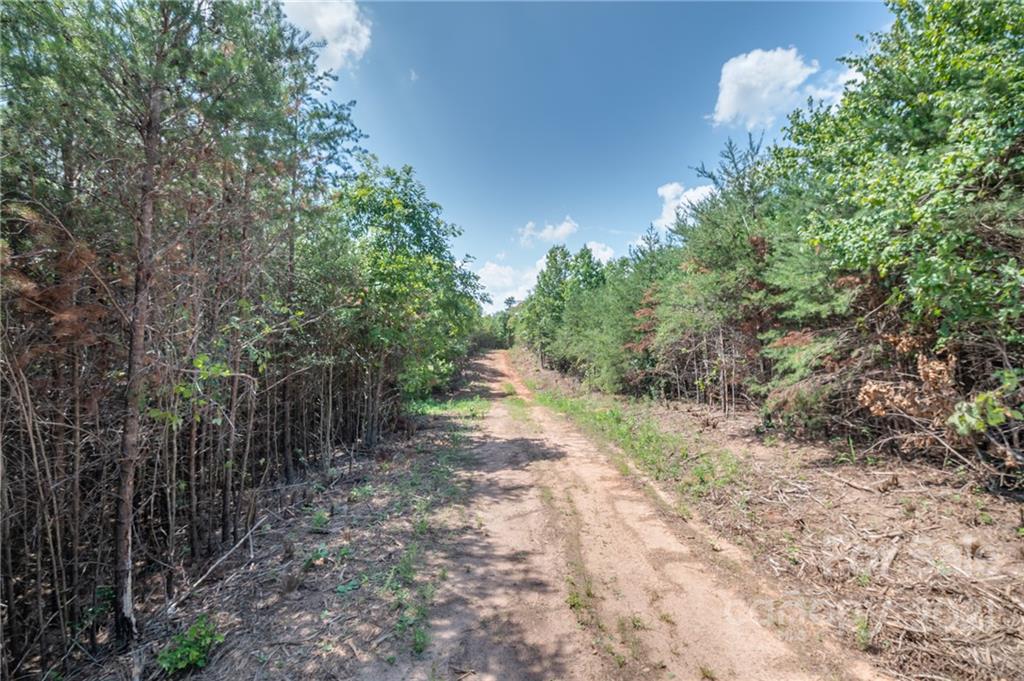 0 Wells Mill Road Bostic, NC 28018 - Photo 26 of 30 Gallery Image 26