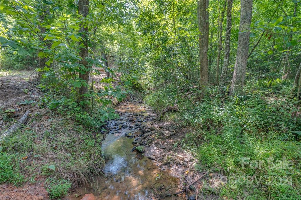 0 Wells Mill Road Bostic, NC 28018 - Photo 3 of 30 Gallery Image 3