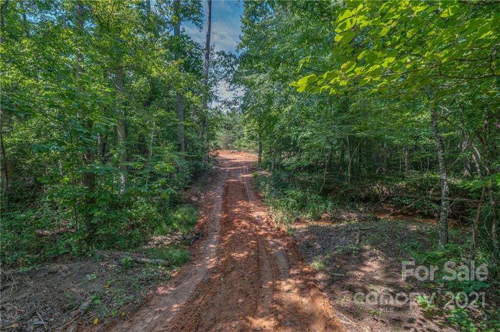 0 Wells Mill Road Bostic, NC 28018 - Photo 4 of 30 Gallery Image 4