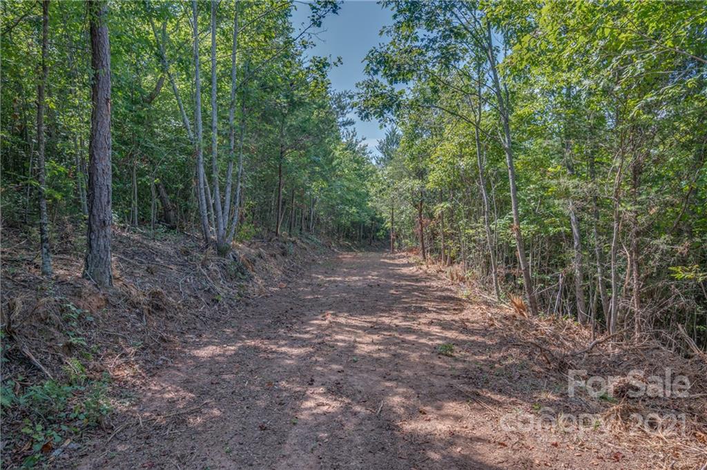 0 Wells Mill Road Bostic, NC 28018 - Photo 5 of 30 Gallery Image 5