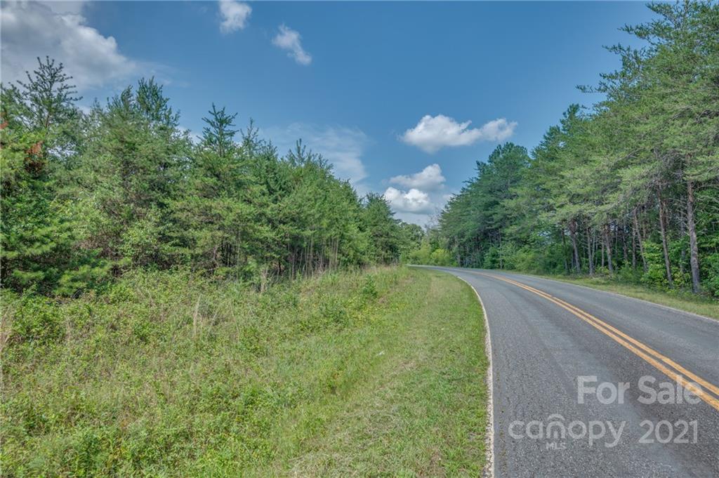 0 Wells Mill Road Bostic, NC 28018 - Photo 10 of 30 Gallery Image 10